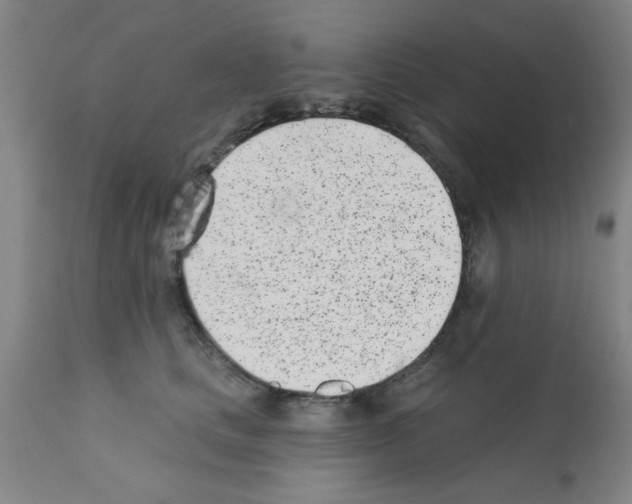 X0000113200661200910221041
