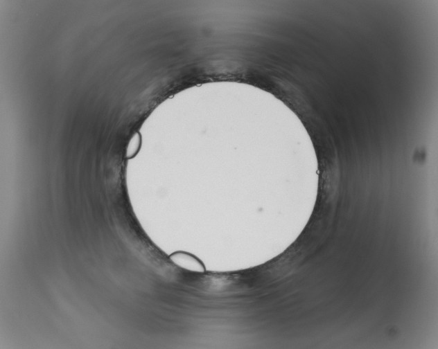 X0000113200662200910221041