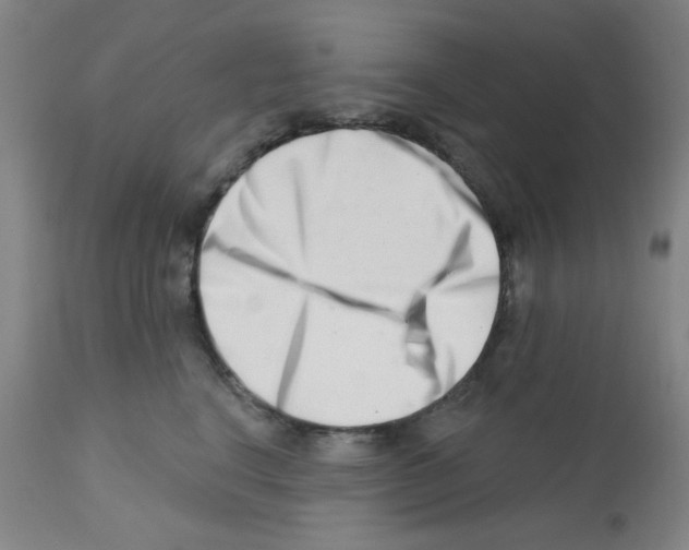 X0000113200664200910221041