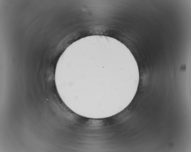 X0000113200665200910221041