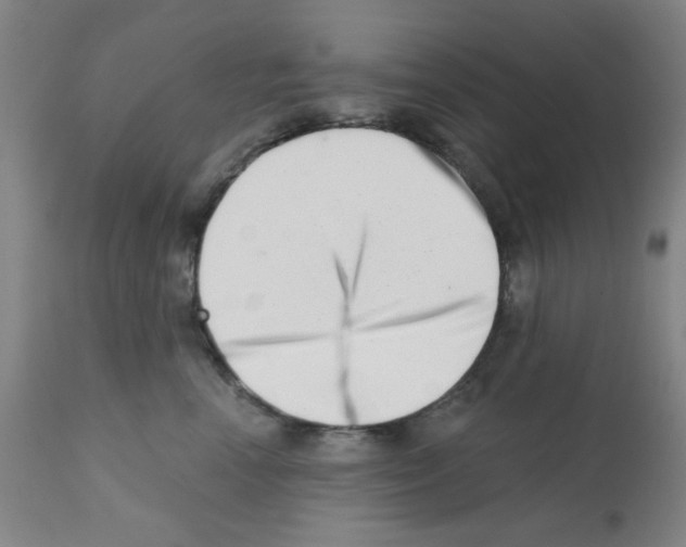 X0000113200666200910221041