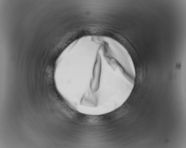 X0000113200667200910221041