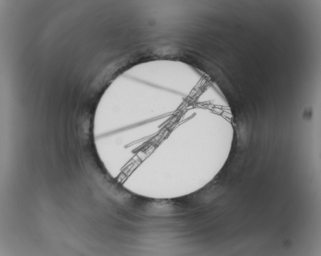 X0000113200668200910221041
