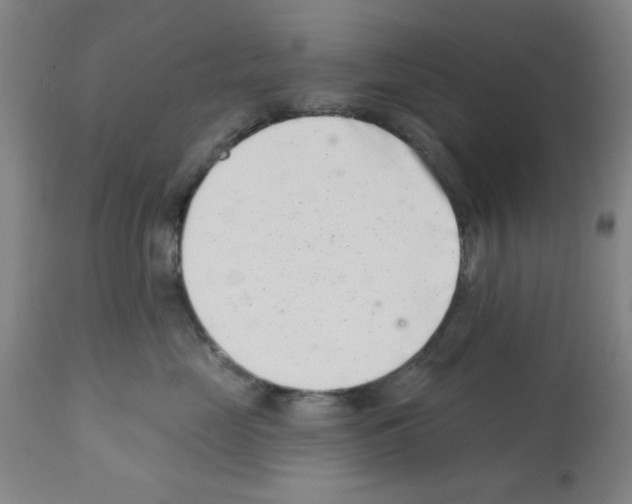 X0000113200669200910221041