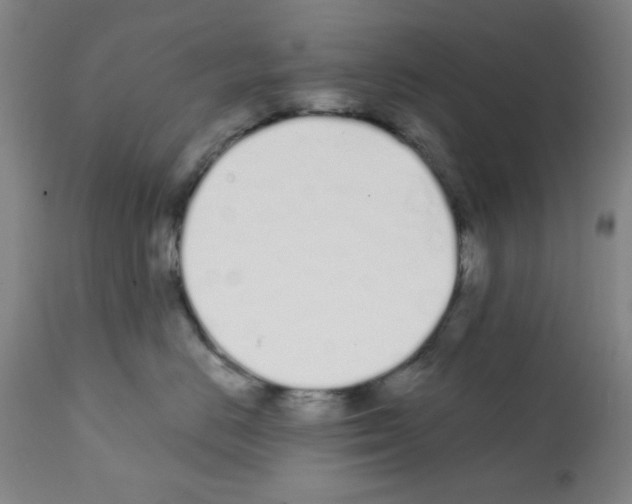 X0000113200670200910221041