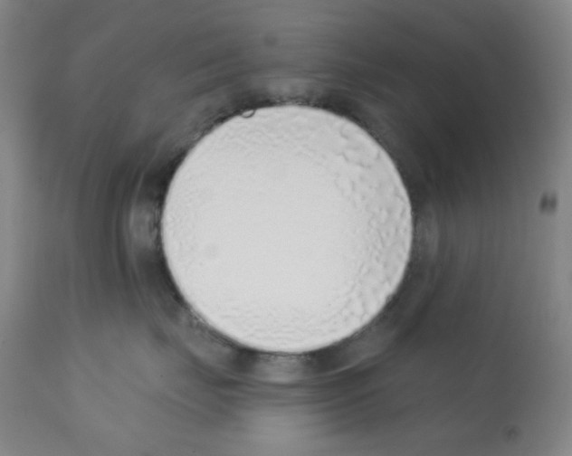 X0000113200671200910221041