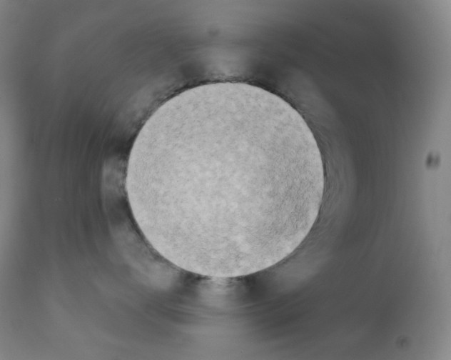 X0000113200672200910221041