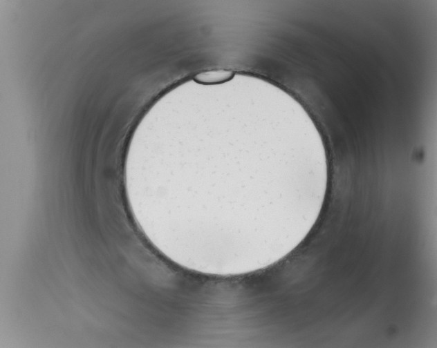 X0000113200673200910221040