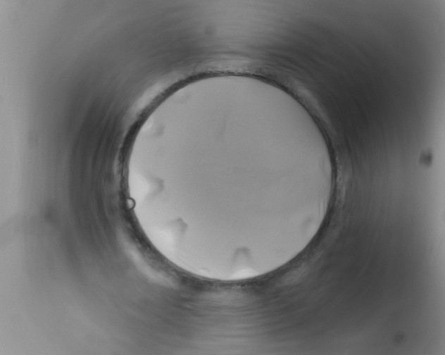X0000113200674200910221040