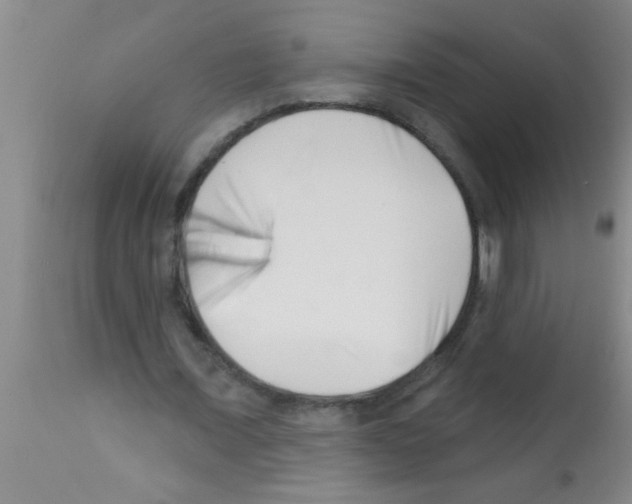 X0000113200675200910221040