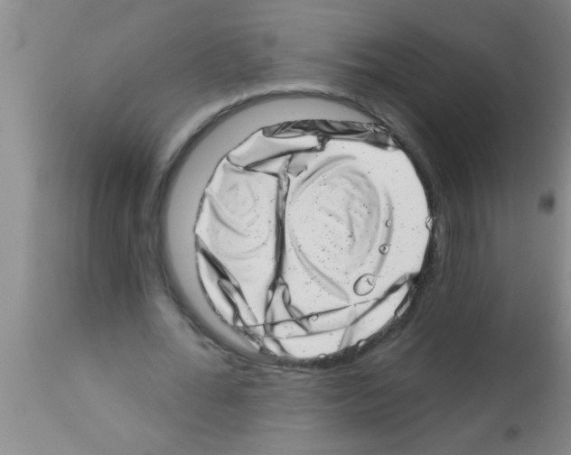X0000113200676200910221040