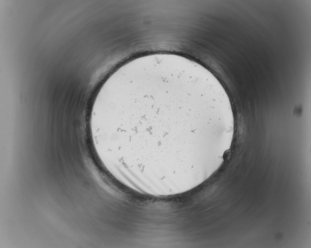 X0000113200677200910221040