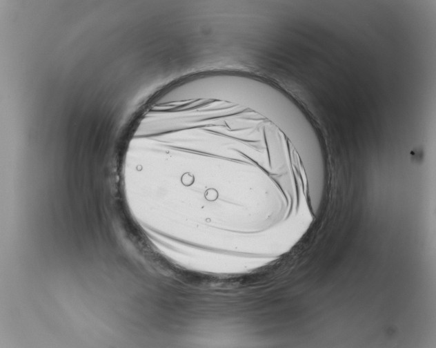 X0000113200680200910221040