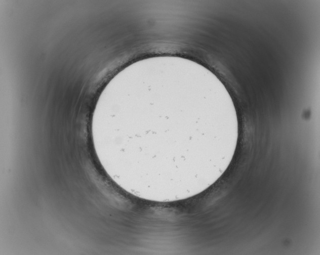 X0000113200681200910221040