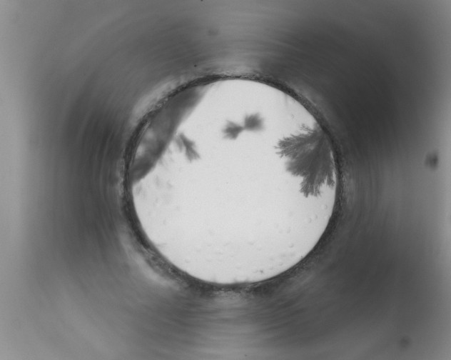 X0000113200682200910221040