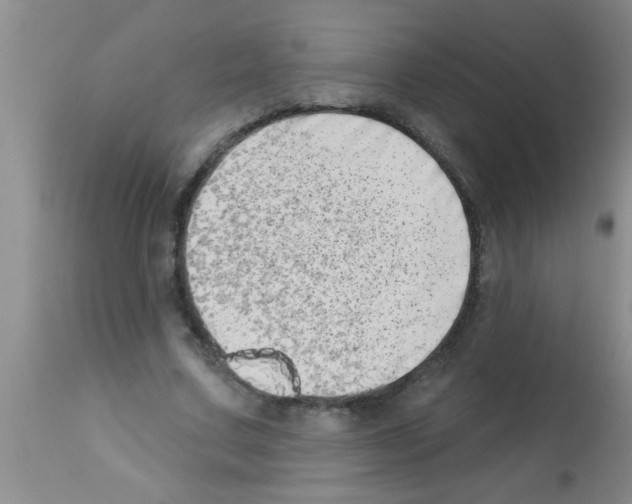 X0000113200683200910221040
