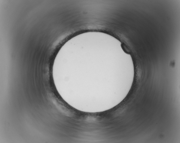X0000113200684200910221040