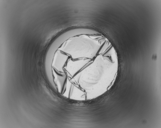 X0000113200688200910221040