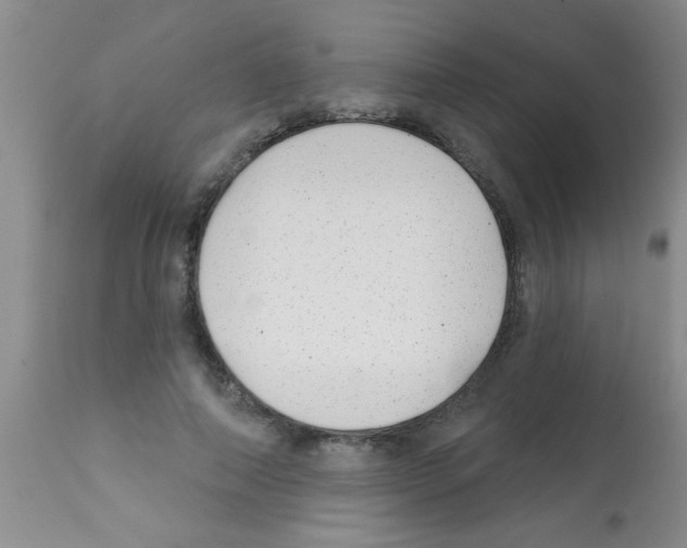 X0000113200690200910221040