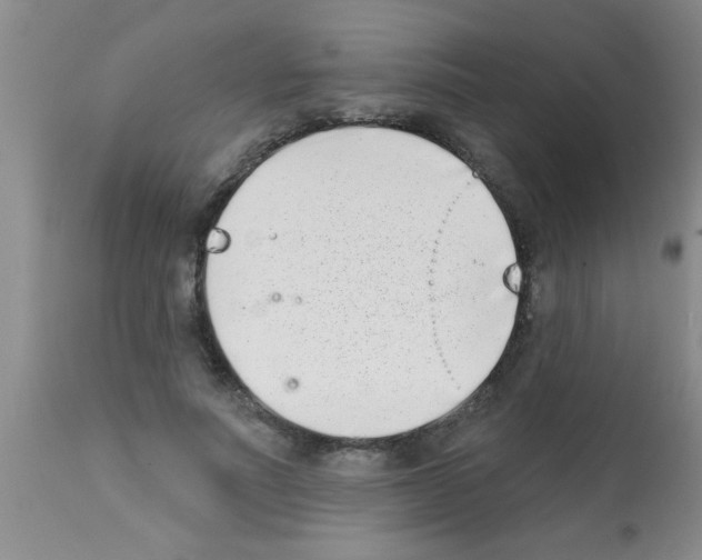 X0000113200691200910221040