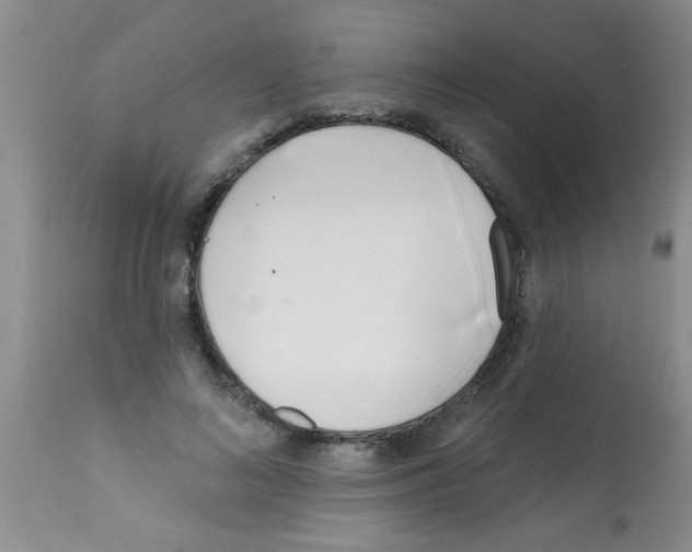 X0000113200692200910221040