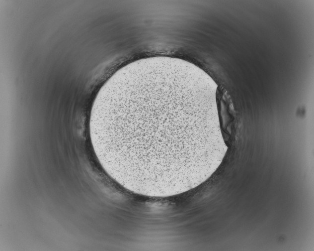 X0000113200693200910221040