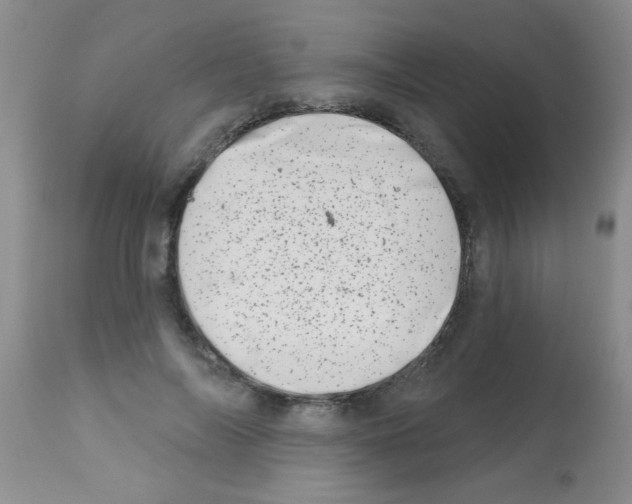 X0000113200694200910221040