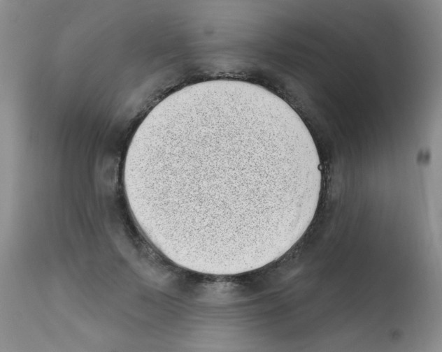 X0000113200695200910221040