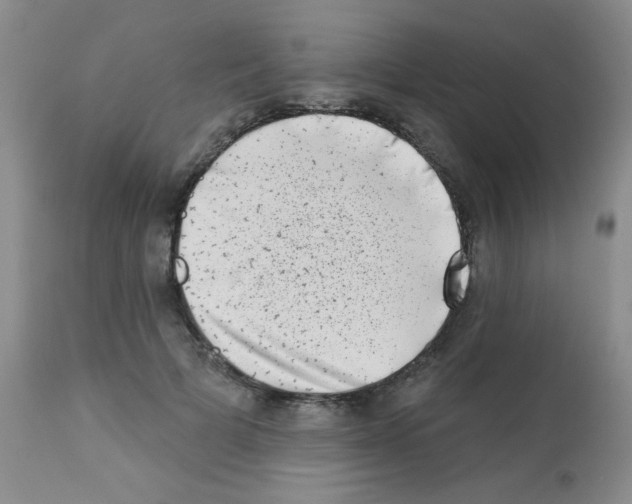 X0000113200697200910221040