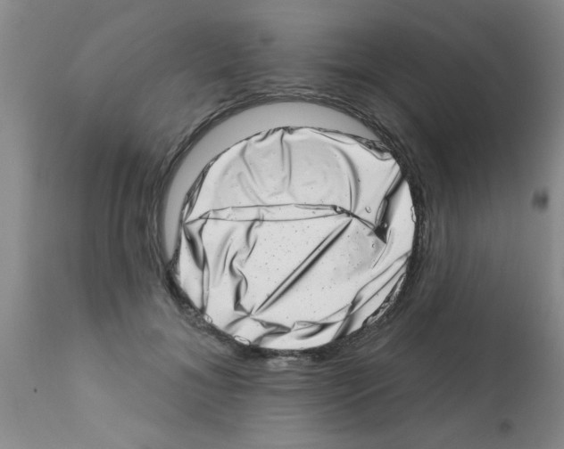 X0000113200700200910221040