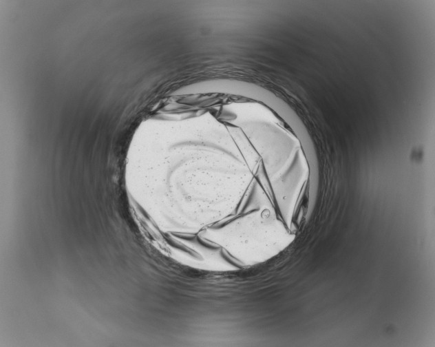 X0000113200701200910221040
