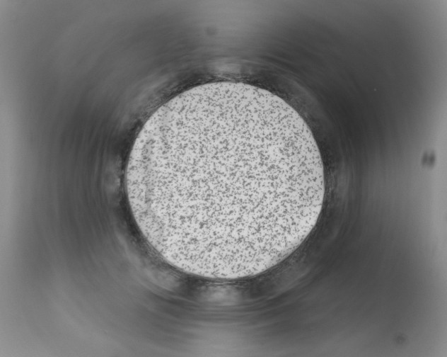 X0000113200702200910221040