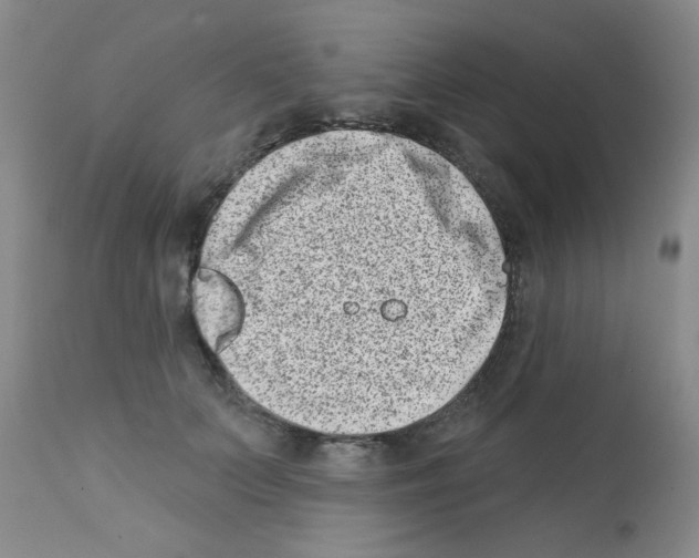 X0000113200703200910221040
