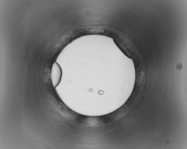 X0000113200704200910221040