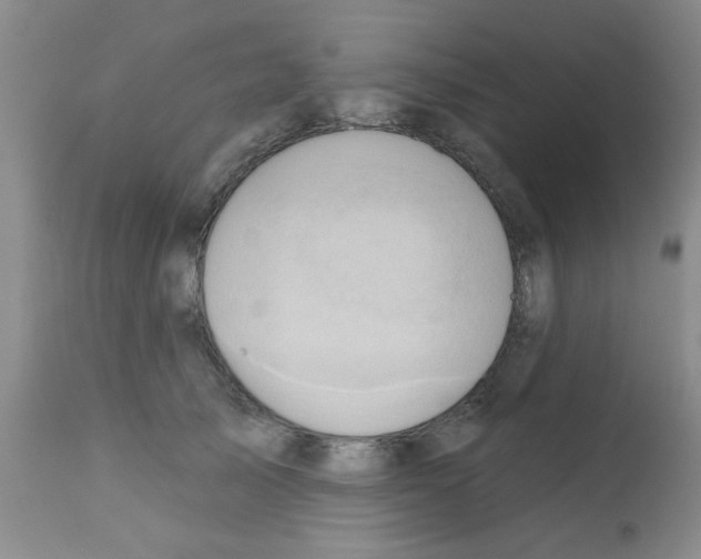 X0000113200705200910221040