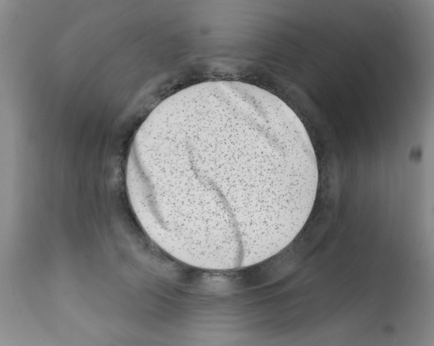 X0000113200706200910221040