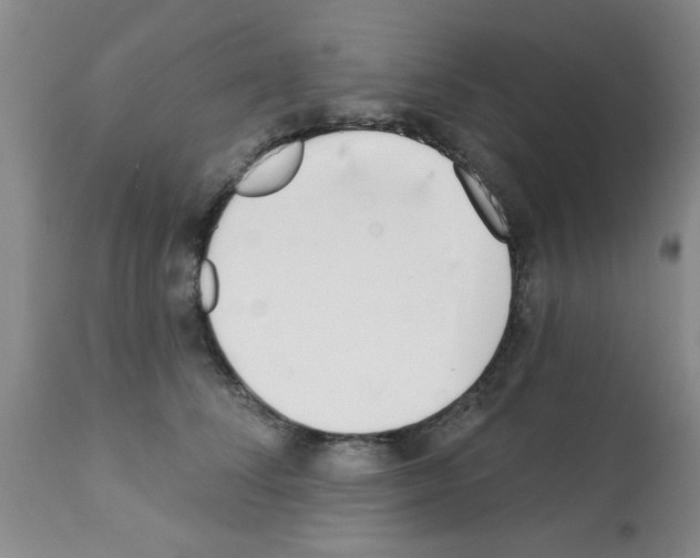 X0000113200708200910221040
