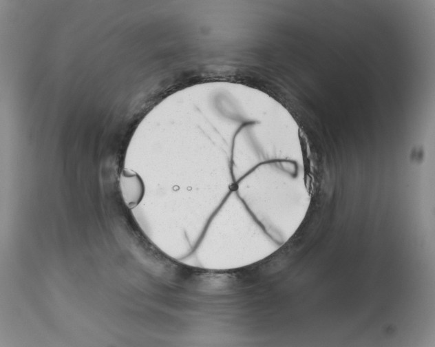 X0000113200711200910221040
