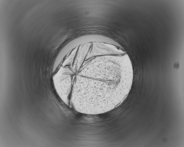 X0000113200712200910221040