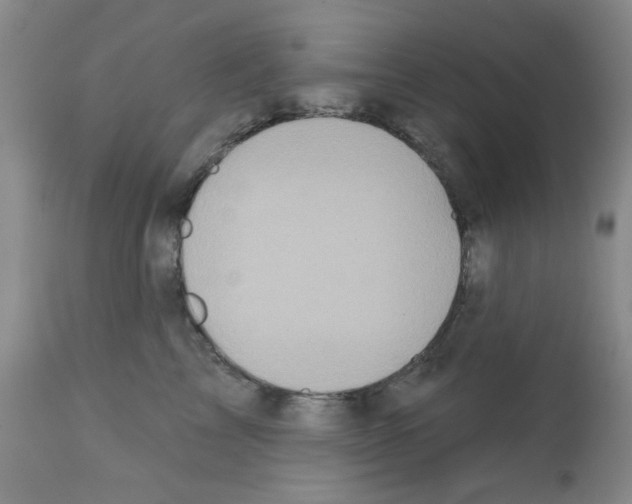 X0000113200713200910221040