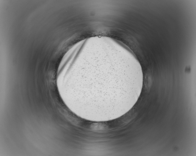 X0000113200714200910221040