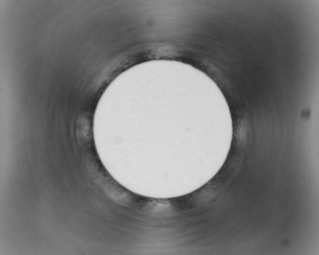 X0000113200715200910221040