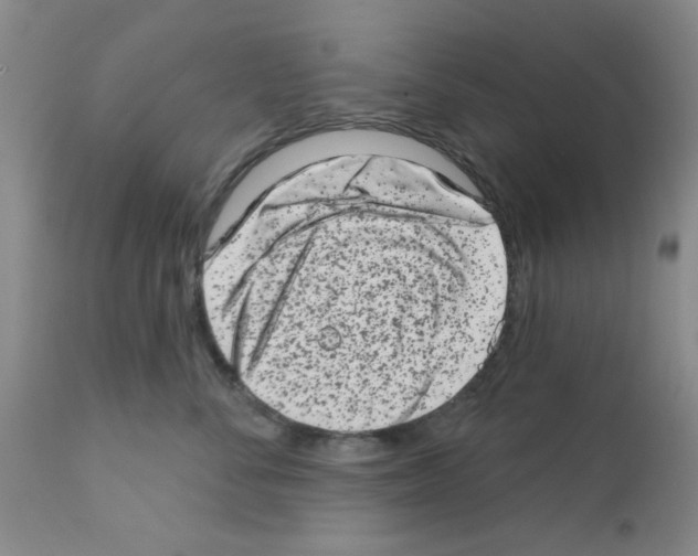 X0000113200716200910221040