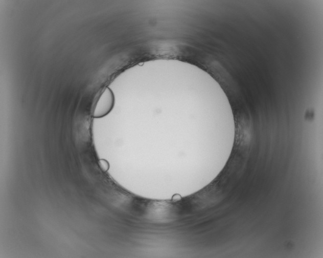 X0000113200717200910221040
