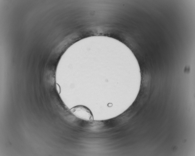 X0000113200719200910221040