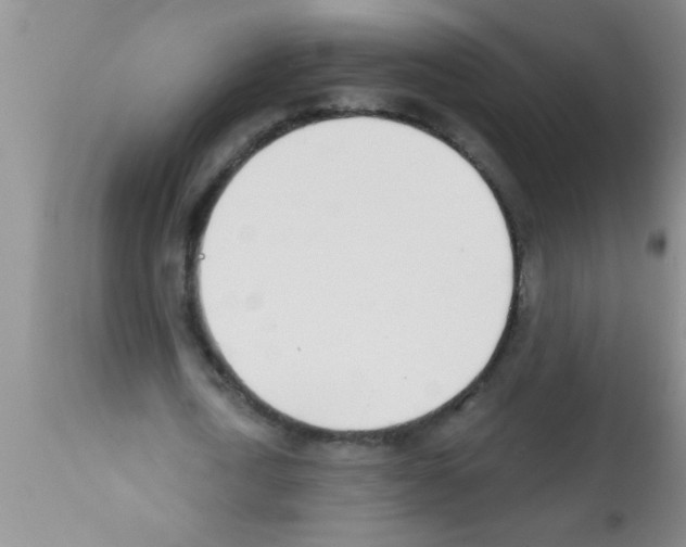 X0000113200722200910221039