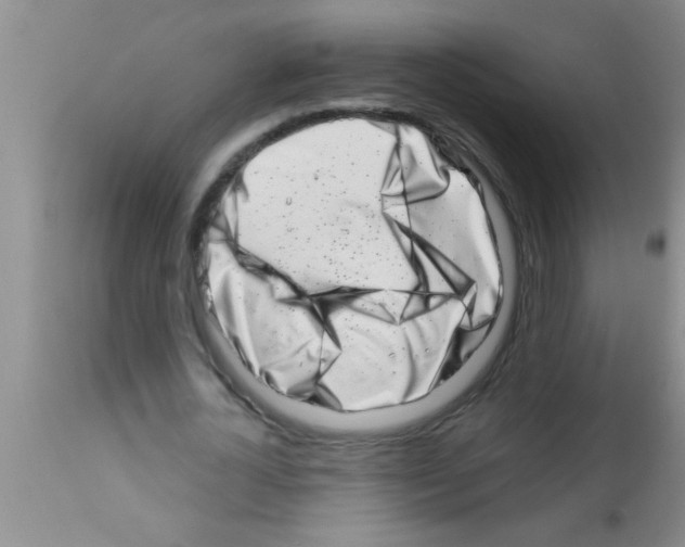 X0000113200724200910221039