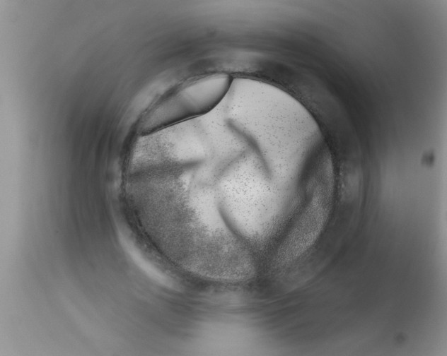 X0000113200726200910221039
