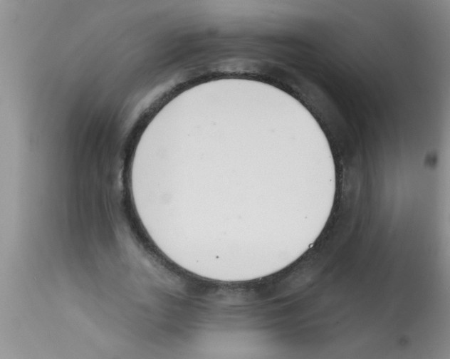 X0000113200727200910221039