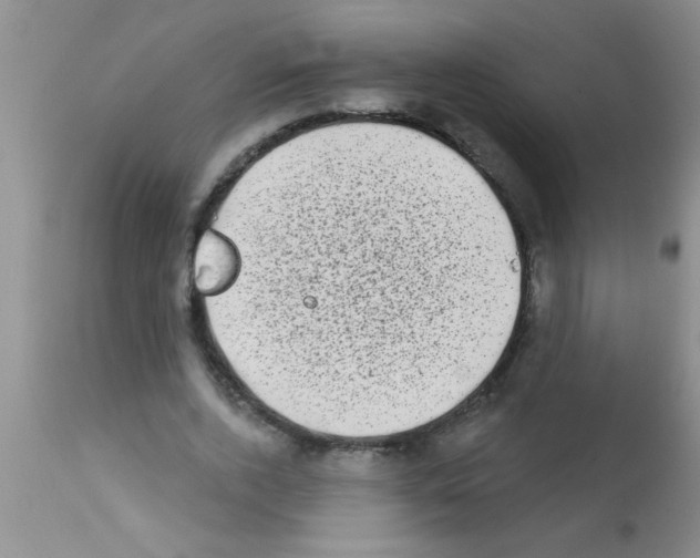 X0000113200728200910221039